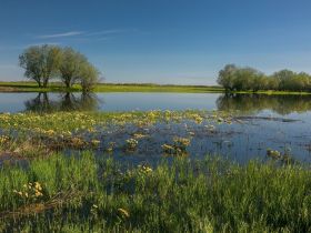 По реке Лена. Техтюр - Якутск (202 мкр.)
