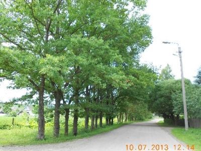 Усадебный парк