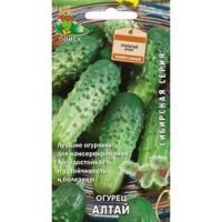 Огурец Алтай (Сибирская серия)