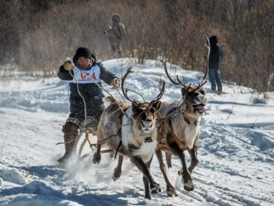 В Нерюнгринском районе Якутии отметили День оленевода