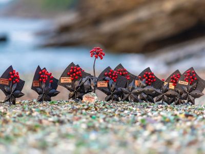 Журналисты ЯСИА стали победителями в экологическом конкурсе «Живая тайга» по Дальнему Востоку