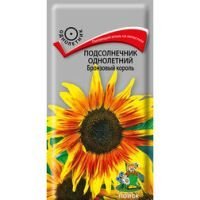 Подсолнечник однолетний Бронзовый король