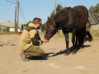 Якутские лошади стали героями фильма в Мурманской области
