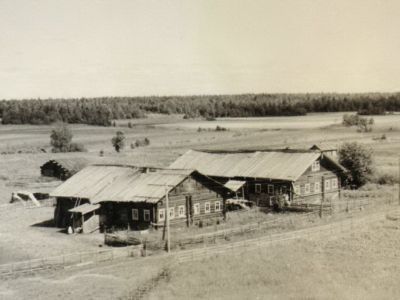 Дом Петровых