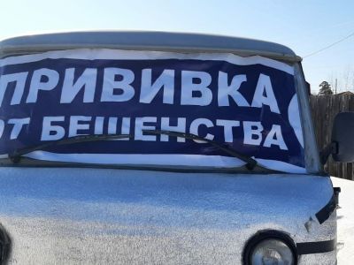 В Якутске и пригородах проведут массовую вакцинацию собак и кошек против бешенства