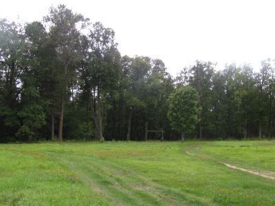 Усадьба, в которой жил и работал русский ученый-химик В.Ф. Лугинин