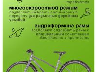 Женский велосипед Atom Symbiotic Speed Lady, год 2024, цвет Серый, ростовка 20