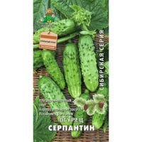 Огурец Серпантин (Сибирская серия)