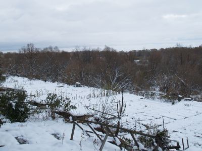 Земля Стахеевых с прогулочной пристанью