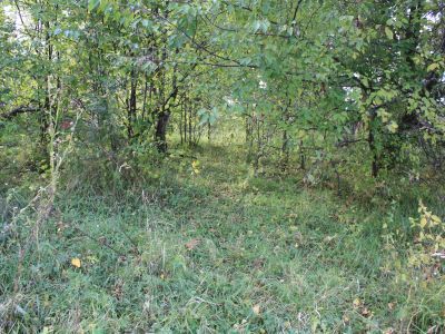 Братская могила партизан