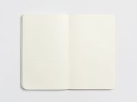 Планер недатированный Falafel books I’m fine silver