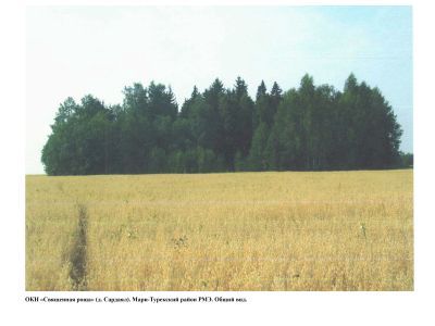 Священная роща