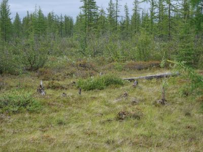 Опорный пункт установления Советской власти в районе в 1925–1935 гг.