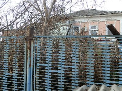 Флигель, бывший аптекарский магазин Тужилова