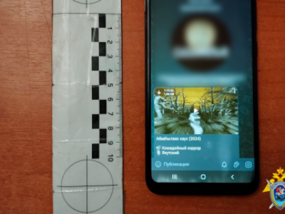 В Чурапчинском районе вынесен приговор по делу о нарушении авторских прав на фильмы