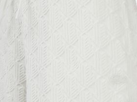 Женские шорты Lacoste