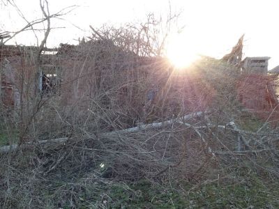 Усадьба Квашненых-Самариных. Парк