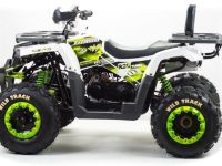 Квадроцикл MOTOLAND ATV 200 Wild Track