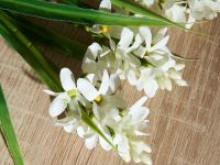 Ветвь Счастливой Пасхи/Buona Pasqua III