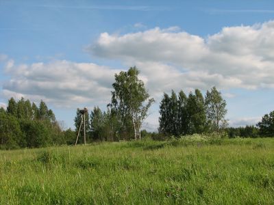 Родина Героя Советского Союза М.К.Шилкина. Погиб в январе 1945 г.