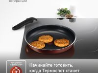 Набор посуды Tefal Ingenio Red 11 предметов 04186850