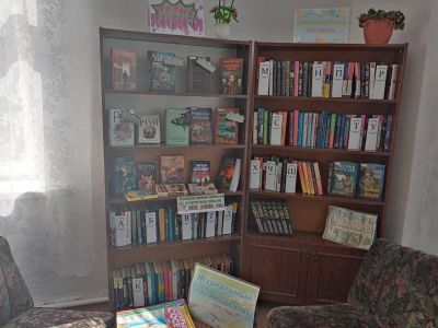 Авдинская сельская библиотека