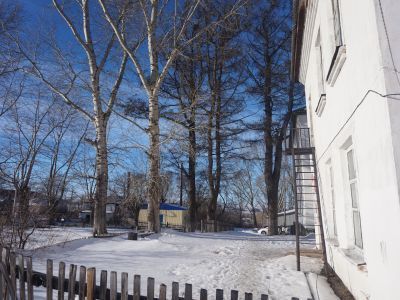 Место усадьбы Петра Козьмича Фролова с лиственницами