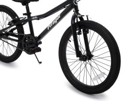 Детский велосипед Pifagor Level 20, год 2023, цвет Серый