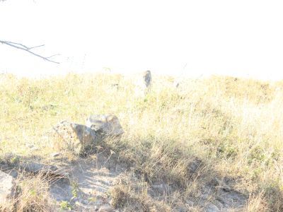 Стела надмогильная