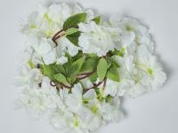 Ветвь Eternal Garden II