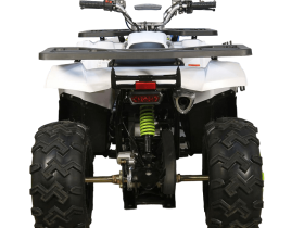 Квадроцикл AVANTIS H200 New (Баланс. вал)