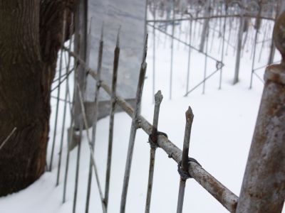 Могила командира Уфимского партизанского отряда Анисимова И.А. Умер в августе 1952 г.