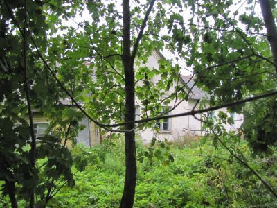 Родина выдающегося деятеля коммунистической партии и Советского государства А.А. Андреева (1895-1971 гг.)