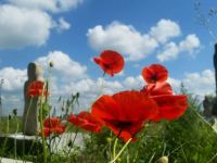 Пятигорский музей каменных древностей под открытым небом