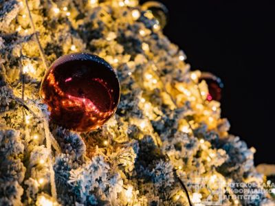 Подготовка к Новому году в ДФО: во что оденутся, где отпразднуют и сколько потратят