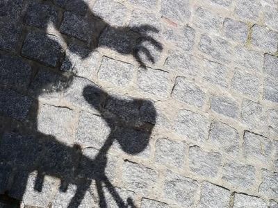 В Якутске полицейские поймали угонщика велосипеда