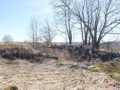 Имение Елагиных