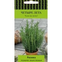 Розмарин лекарственный Росинка (Четыре лета)