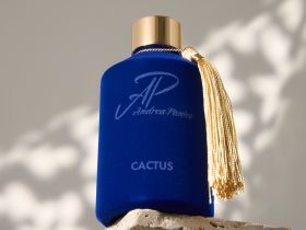 Диффузор Cactus 180 мл