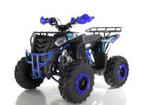 Квадроцикл WELS Thunder Evo