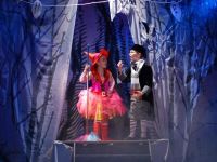 Крымский государственный театр юного зрителя