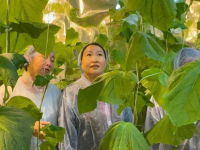 В Маттинской школе Мегино-Кангаласского района Якутии открылся умный огород