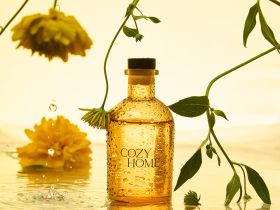 Диффузор Сто дней лета 100 мл