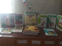 Васильевская сельская библиотека