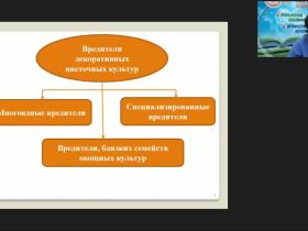 Международный вебинар "Защита декоративных цветочных культур от вредителей в открытом и защищенном грунте"