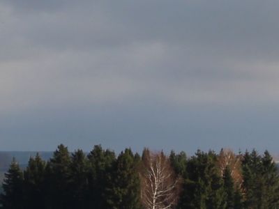 Священная роща