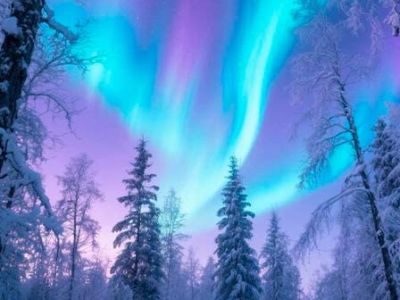 А. Вивальди, А. Пьяццолла. Времена года. Орган, скрипка, оркестр