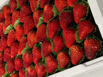 Якутяне пожаловались на плохое самочувствие после китайской клубники