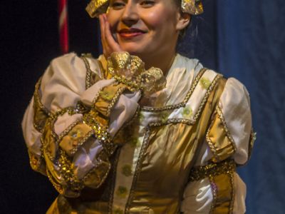 Кот в сапогах