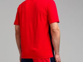 Фуфайка трикотажная для мужчин (футболка)